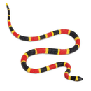 Coral Snake Baby - Toyology Toys