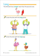 Preschool Basics Workbook (64 Pages)