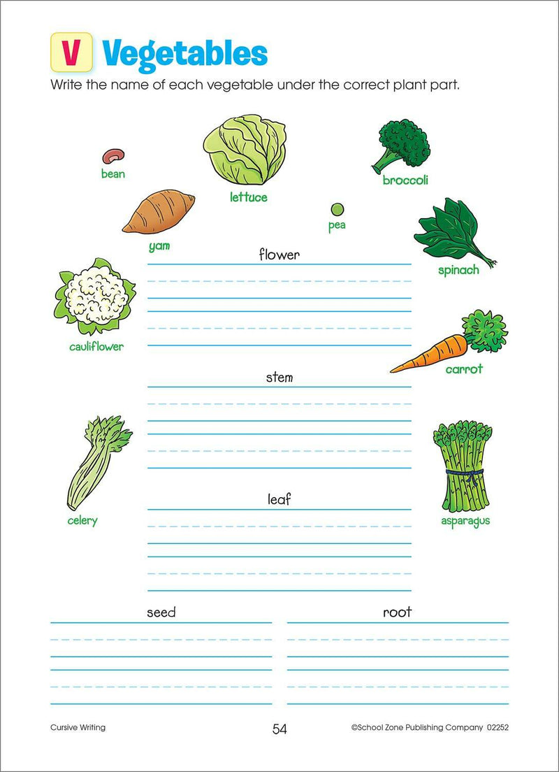 Cursive Writing Grades 3-4 Workbook