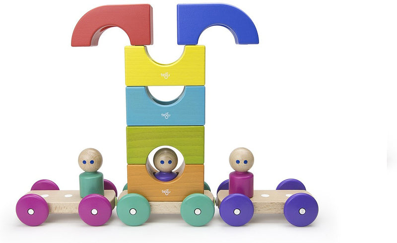 Magnetic Tegu Tram - Baby and Toddler - 12 pieces