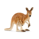 Kangaroo