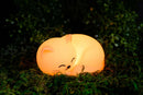 Mushi Ambient Squishy Cat Night Light