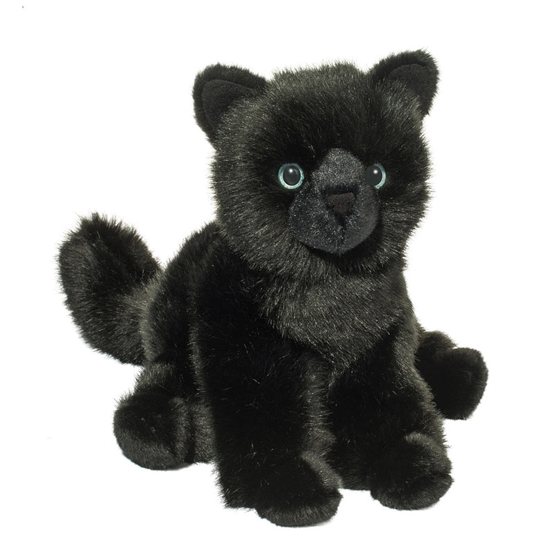 Salem Black Cat