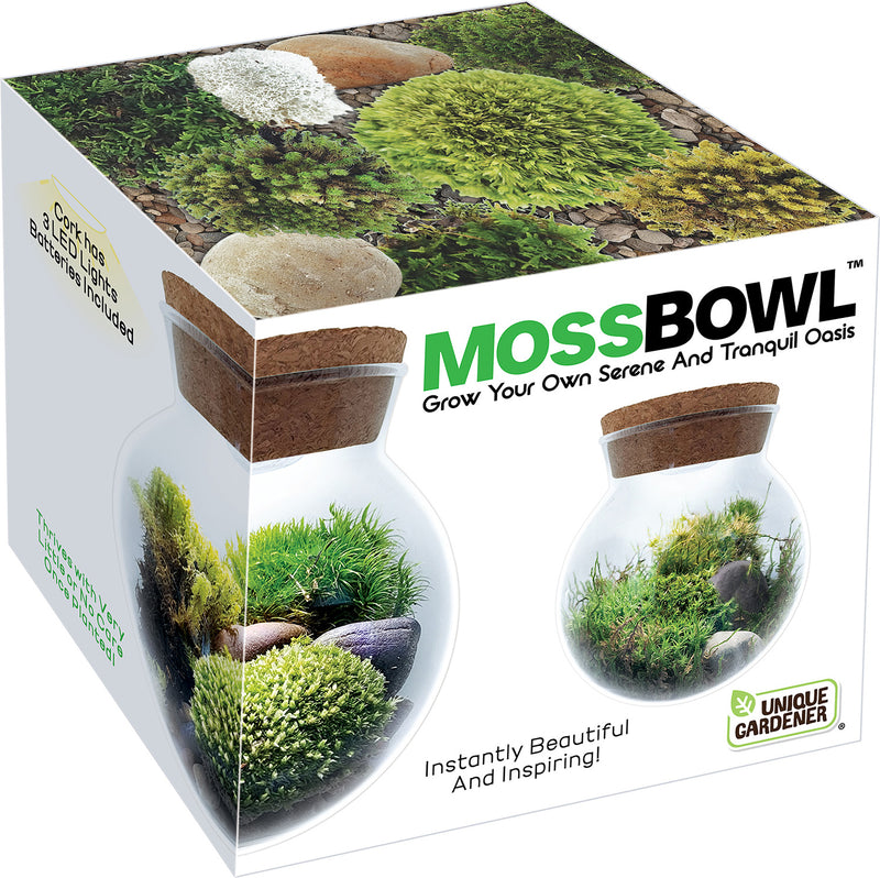 Moss Bowl - Grow Your Own Oasis