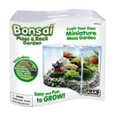 Bonsai Moss & Rock Garden Terrarium - Toyology Toys