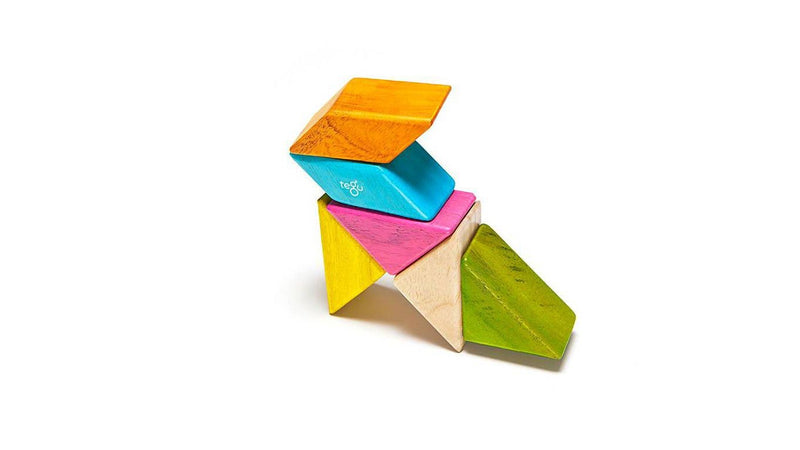 6 Piece Pocket Pouch Prism - Tegu Tints