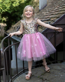 A Star is Born Sequins Dress, Size 5/6 - Toyology Toys