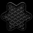 IQ Star
