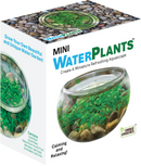 Mini WaterPlants - Create A Miniature Aquascape - Toyology Toys