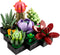 Succulents  - Icons