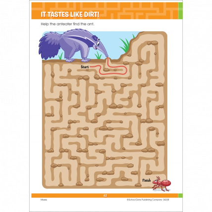 Big Mazes And More Book