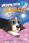 Charlie the Ranch Dog: Rock Star (L1)