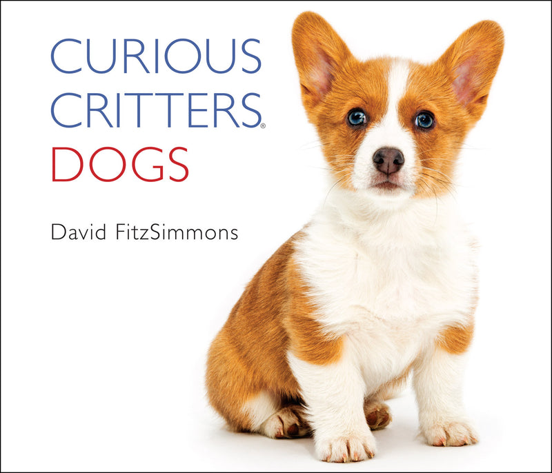 Curious Critters Dogs