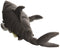 Shark Puppet