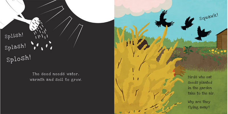 Shine a Light - Secrets of the Vegetable Garden