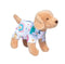 Dolls' Pup Assortment ToyologyToys
