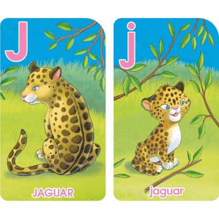 Go Fish Alphabet Game Cards ToyologyToys