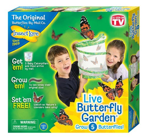 Live Butterfly Garden ToyologyToys
