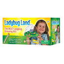 Live LadyBug Land ToyologyToys