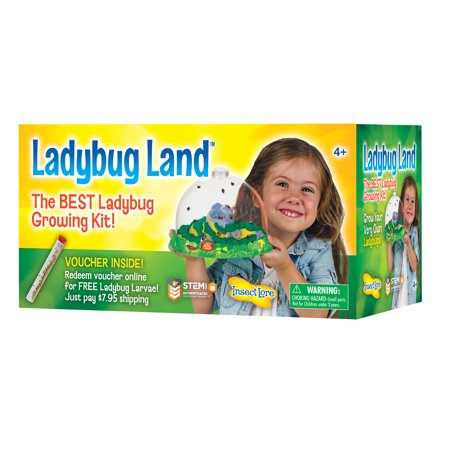 Live LadyBug Land