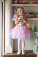 Rainbow Fairy Dress & Wings, Multi, Size 5-6